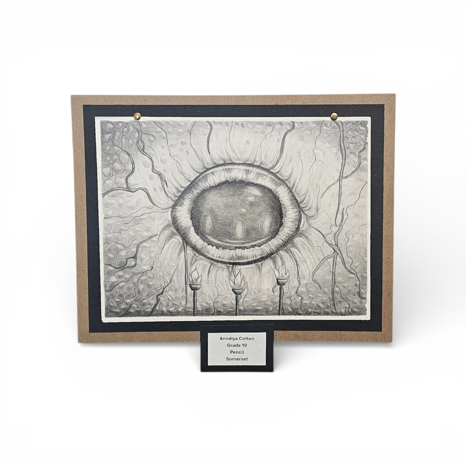 Untitled by Anndiya Cotton