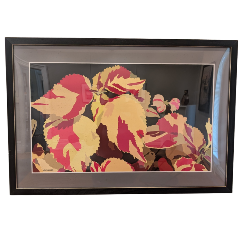 Coleus by Jon Miller
