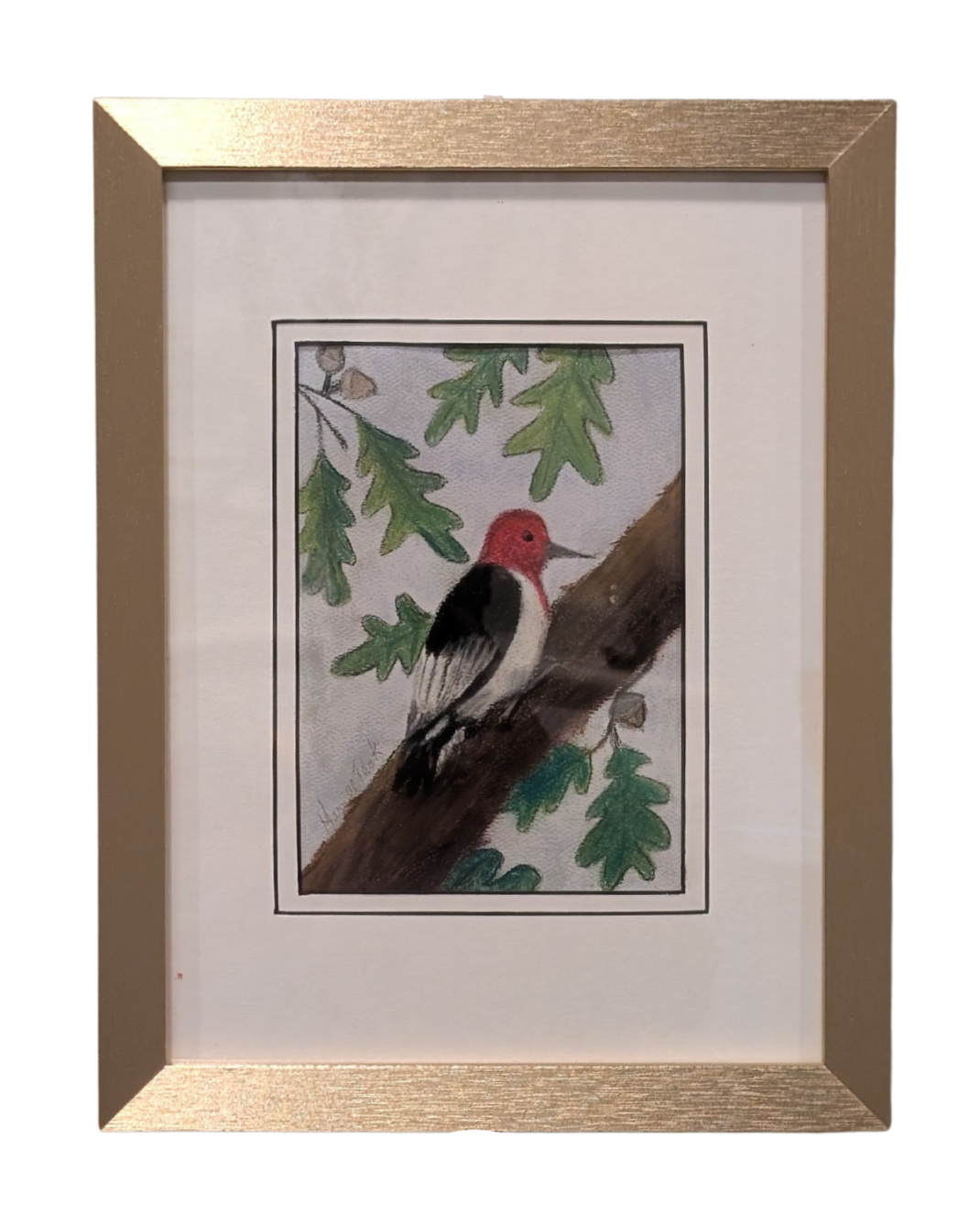 Red-Headed Woodpecker by Linda Peck